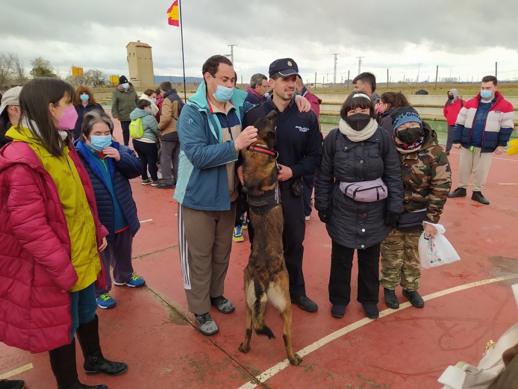 Gente en exhibición guías caninos