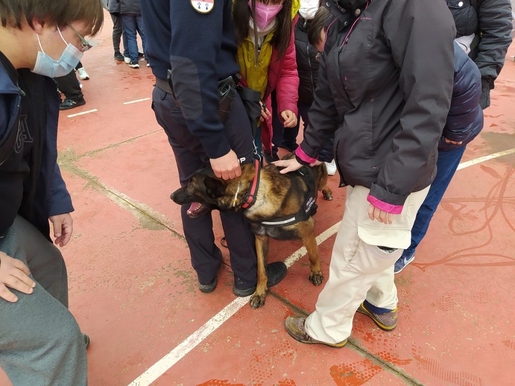 Gente en exhibición guías caninos