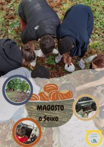 Niños cogiendo y cocinando castañas