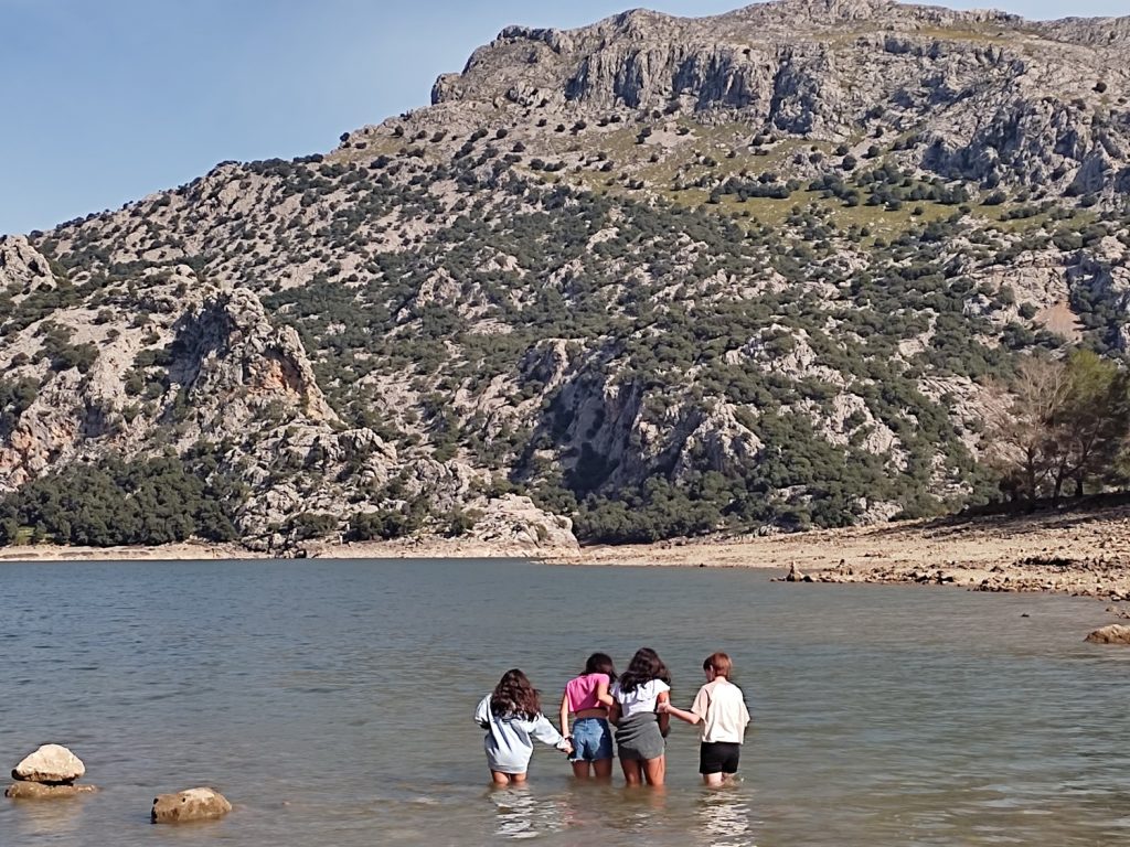 Niños en excursión