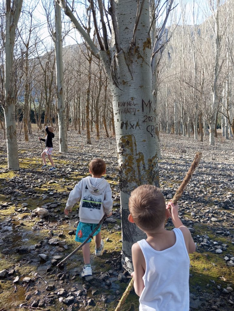 Niños en excursión