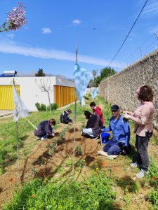 Personas trabajando en el huerto