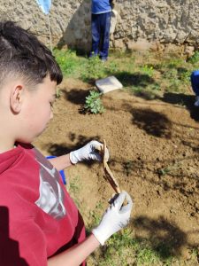 Personas trabajando en el huerto