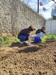Personas trabajando en el huerto