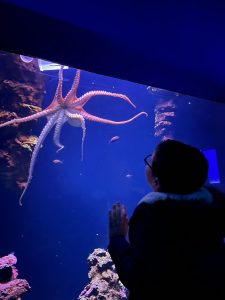 Niños en acuario
