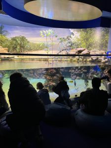 Niños en acuario