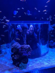 Niños en acuario