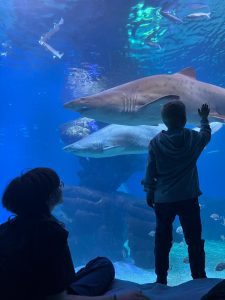 Niños en acuario