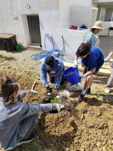 Personas trabajando en el huerto