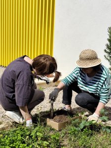 Personas trabajando en el huerto