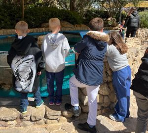 Niños en acuario
