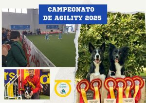 Niños en concurso canino