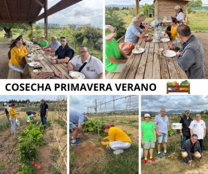 Personas en huerto