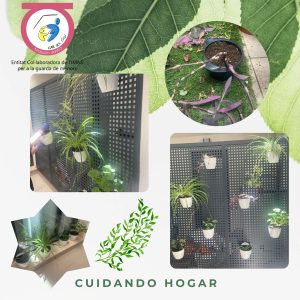 Fotos de plantas