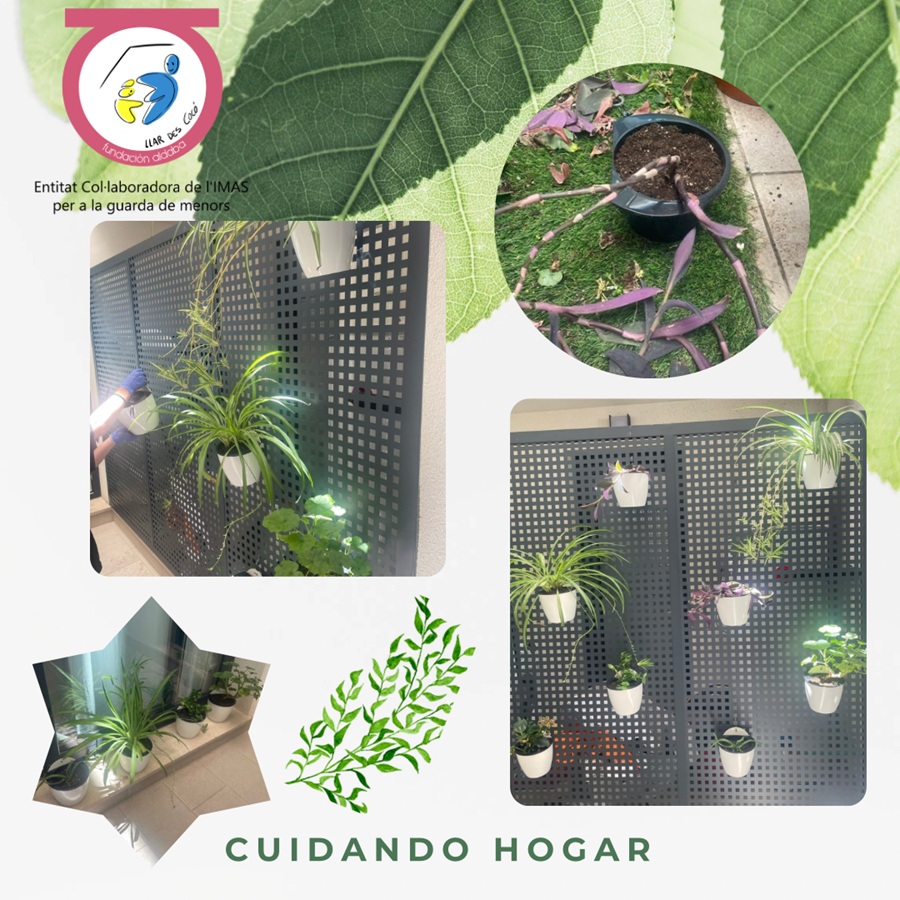 Fotos de plantas