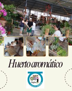 Personas trabajando y comprando plantas aromáticas