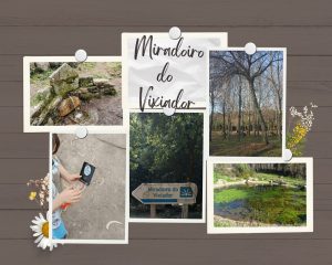 Fotos de paisajes de la ruta