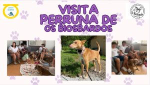 Niños con perros