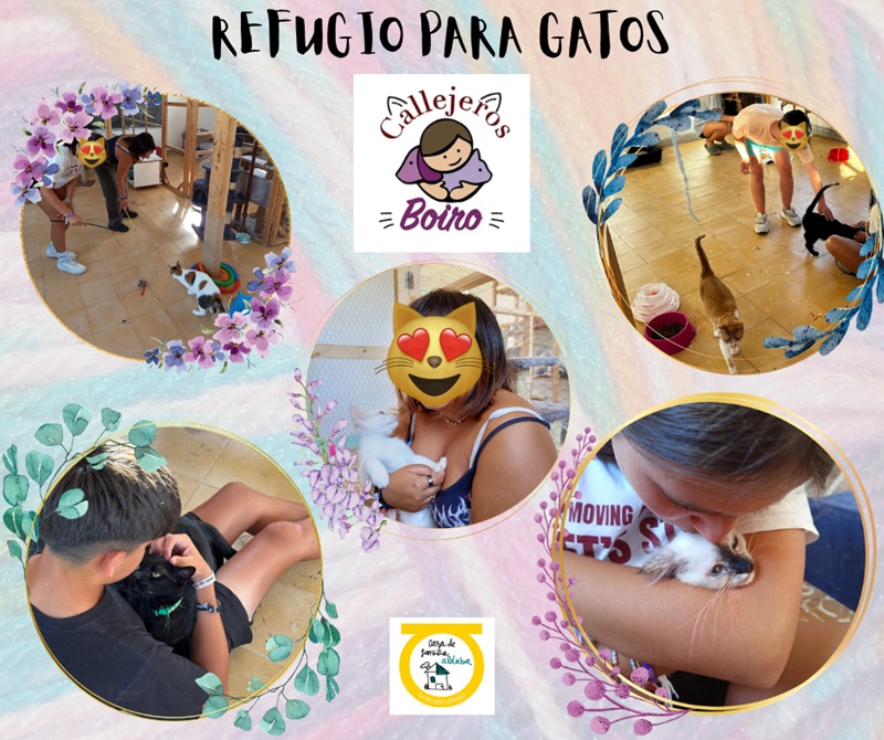 Niños con gatos