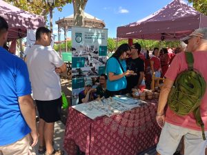 Chicos en mercadillo
