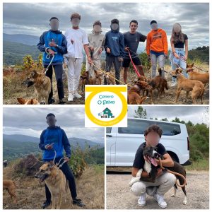 chicos con perros