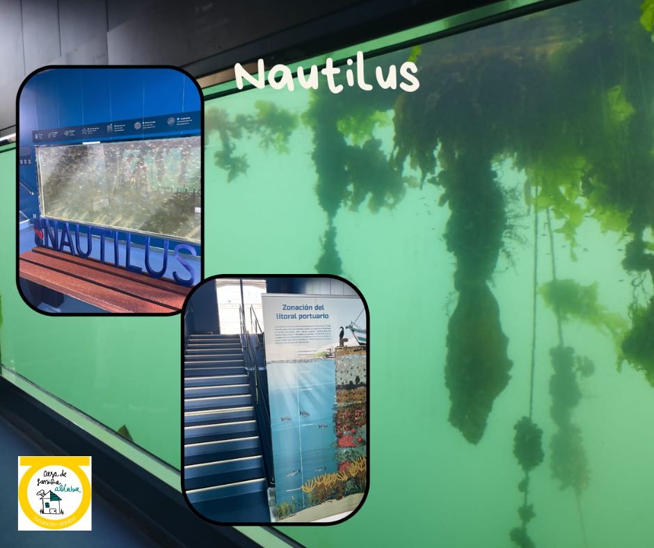 Foto de la exposición Nautilus