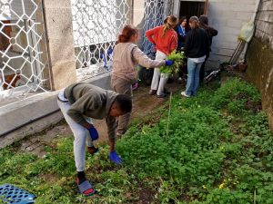 Chicos trabajando en el huerto