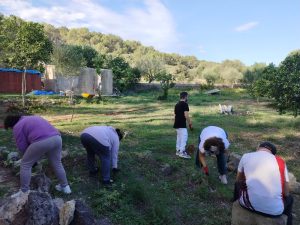 Personas trabajando en huerto