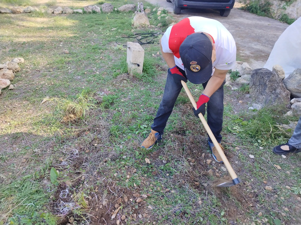 Personas trabajando en huerto