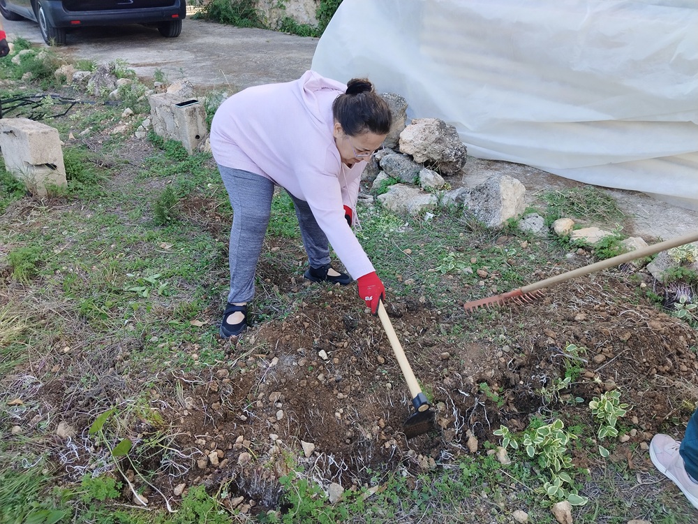 Personas trabajando en huerto