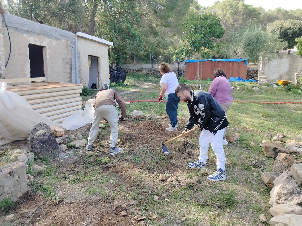 Personas trabajando en huerto
