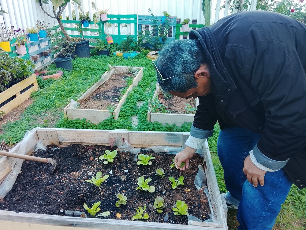 Persona en el huerto