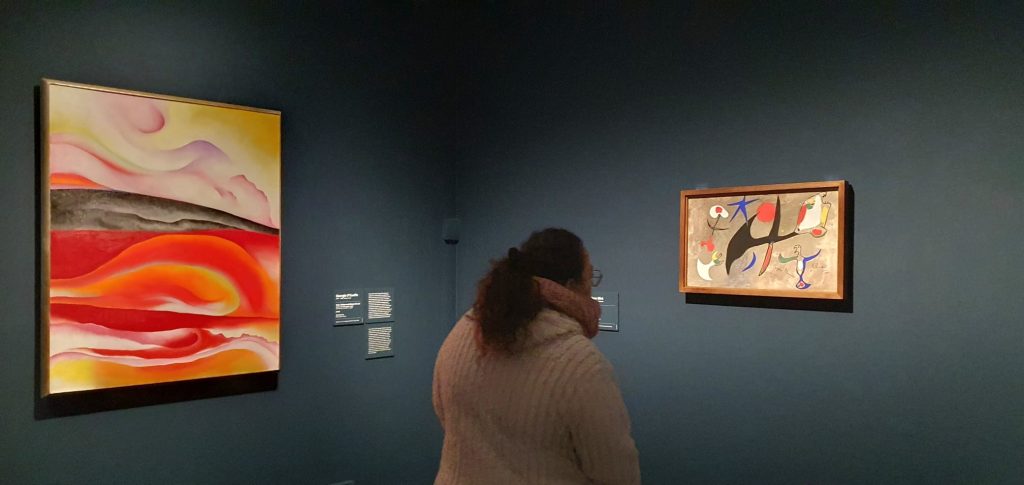 Persona viendo exposición