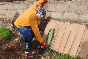 Persona pintando de verde varillas de hierro para poner carteles a la plantas