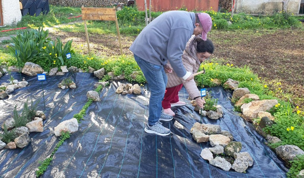 Dos personas ponen carteles a las plantas en un huerto