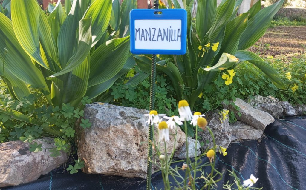 Foto de cartel con el nombre de una planta