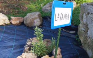 Foto de cartel con el nombre de una planta