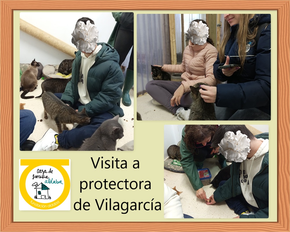 Niños jugando con gatos