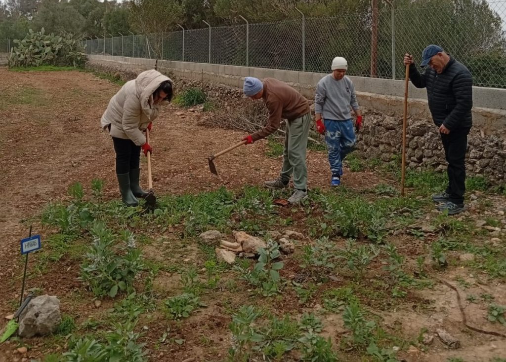 Actividades de huerto en Llaflor