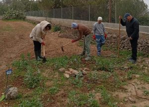 Actividades de huerto en Llaflor