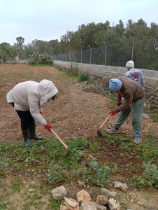 Actividades de huerto en Llaflor