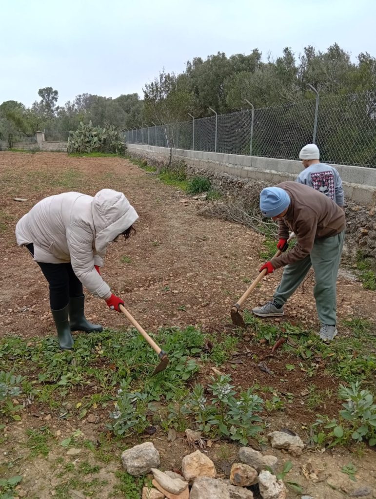 Actividades de huerto en Llaflor
