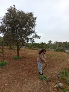 Actividades de huerto en Llaflor