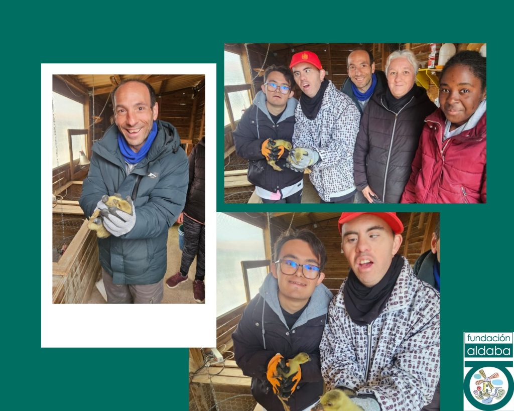 Personas con pequeñas ocas