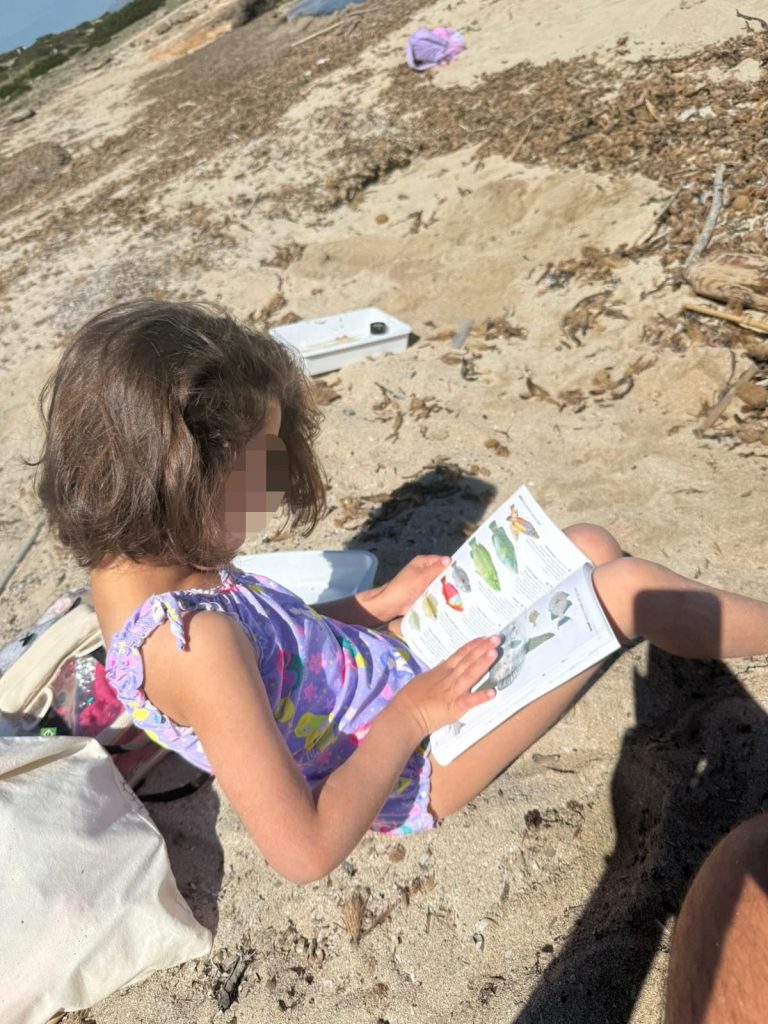 Niños leyendo en la playa