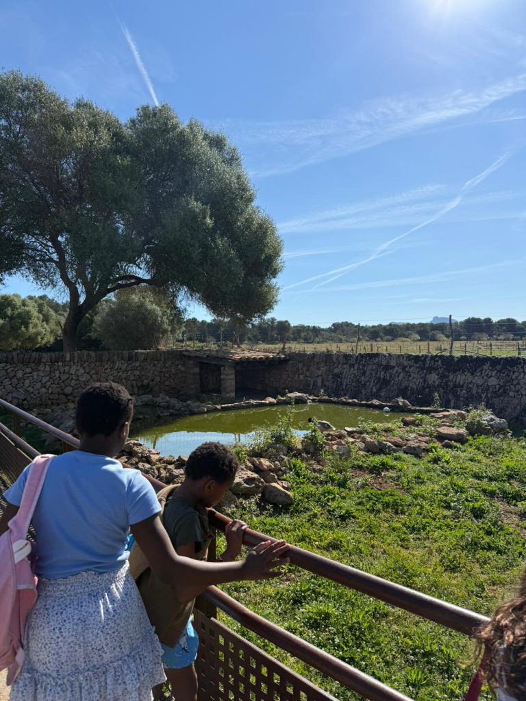 Niños haciendo un taller en la playa