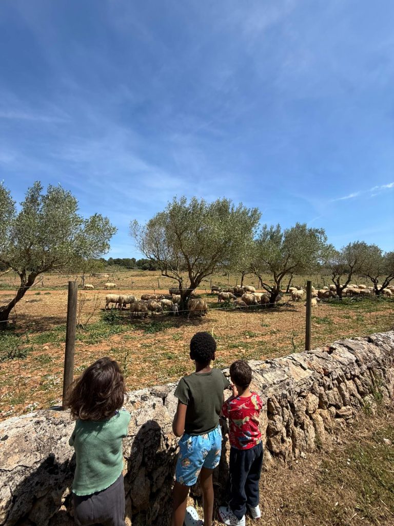 Niños haciendo un taller en la playa