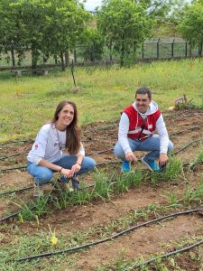Personas trabajando en el huerto