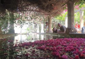 Personas en los jardines del obispo