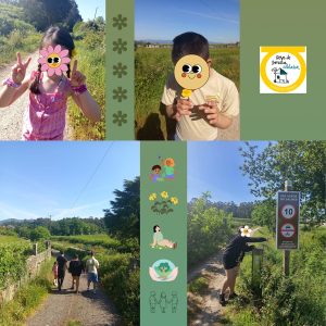 Collague de fotos de niños y niñas en el parque